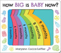 How Big Is Baby Now?: A New Baby Gift Book for Big Brothers and Big Sisters (Baby Shower Gift)