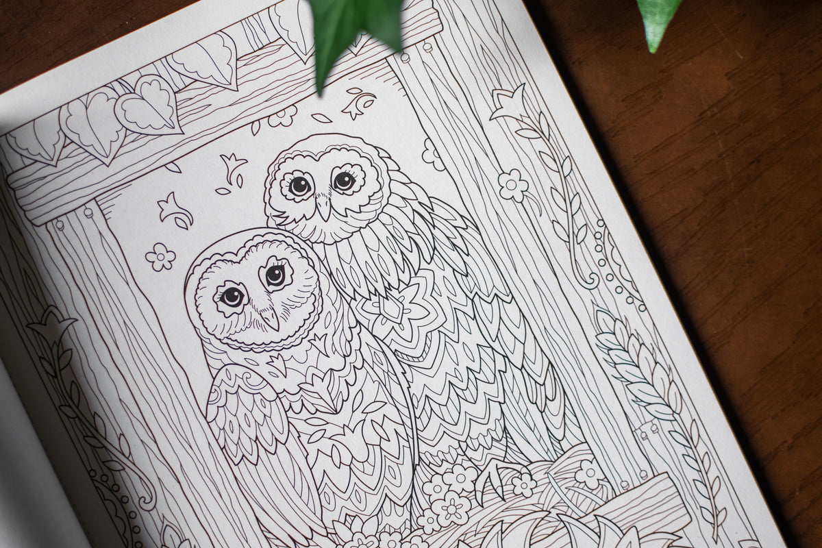 Farm Sweet Farm Coloring Book