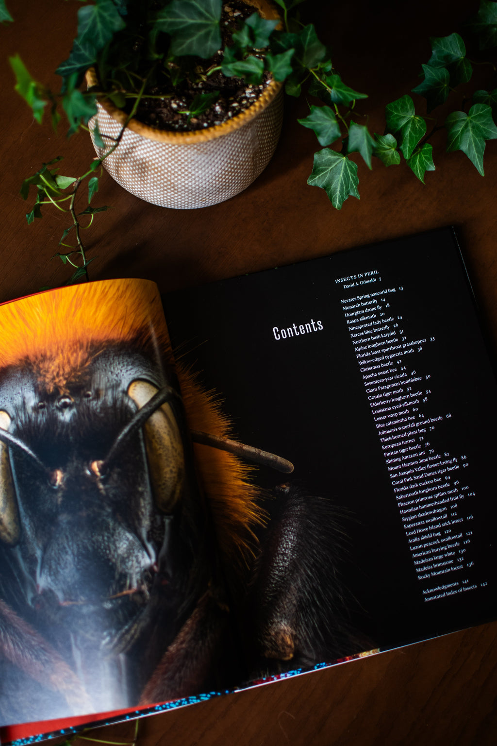 Extinct & Endangered: Insects in Peril